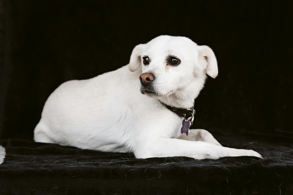 Leheronbleudelabrenne